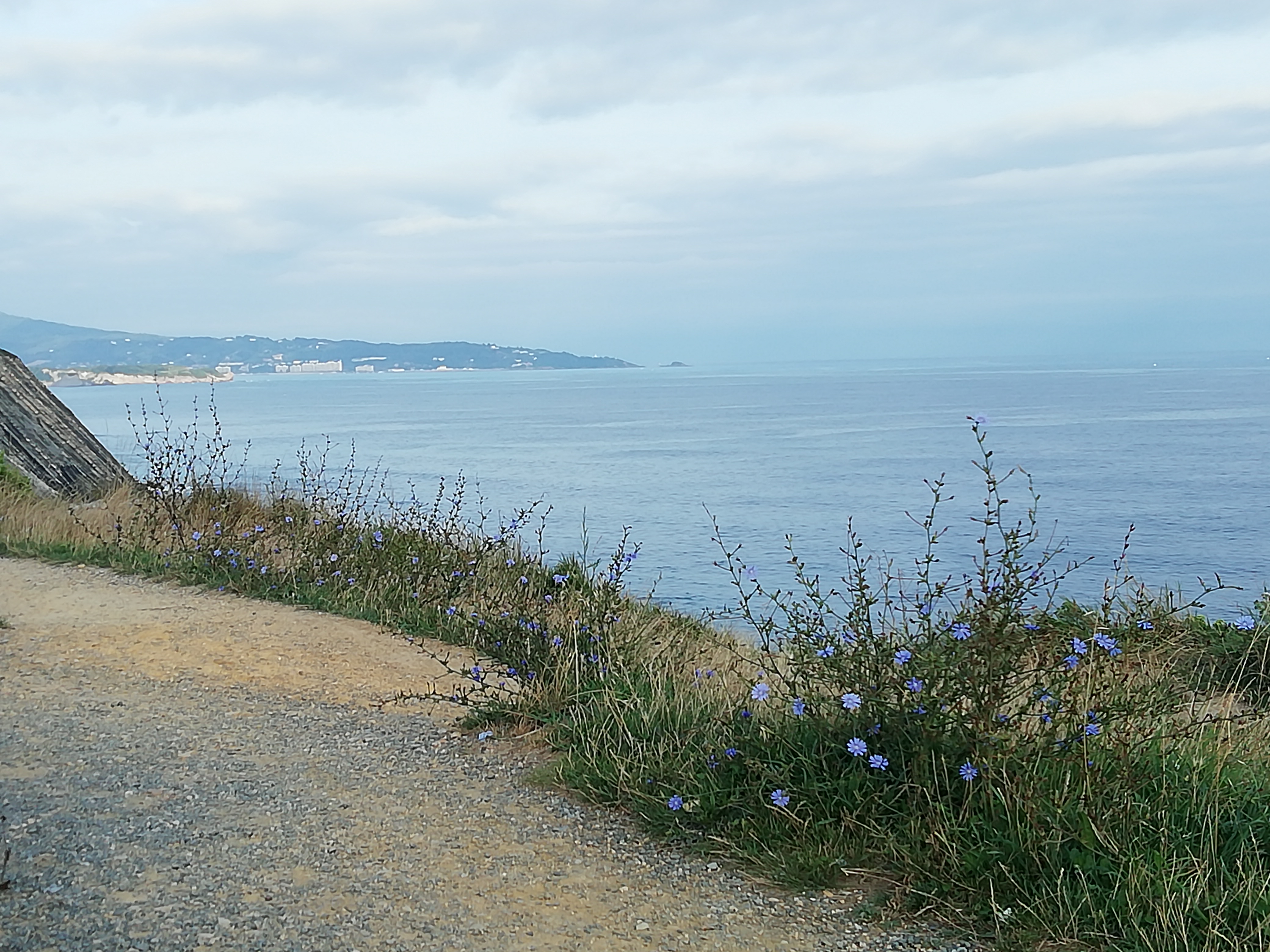 Photo n° 1 de l'avis de Nolwenn.u fait le 10/08/2019 à 16:00