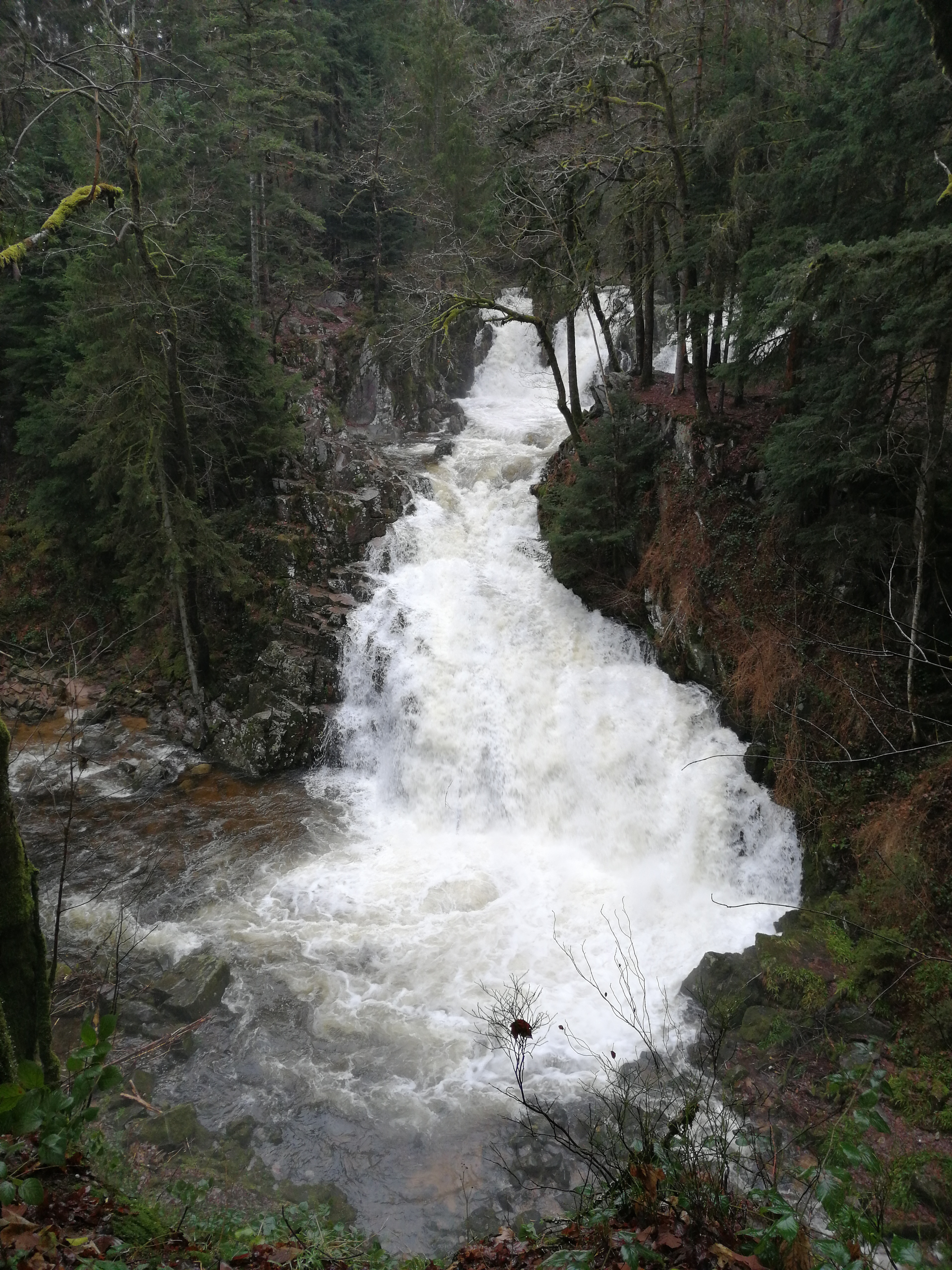 Photo n° 3 de l'avis de fabrice.a fait le 26/12/2019 à 21:13
