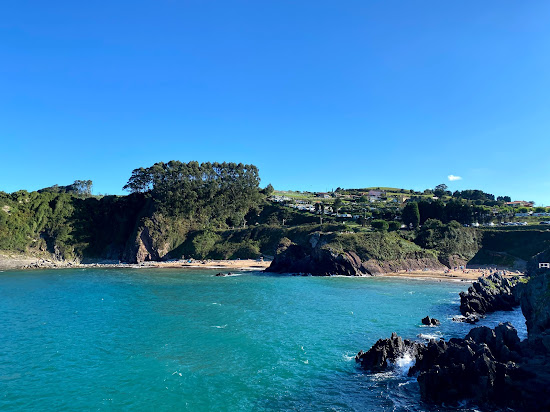 Playa Carranques
