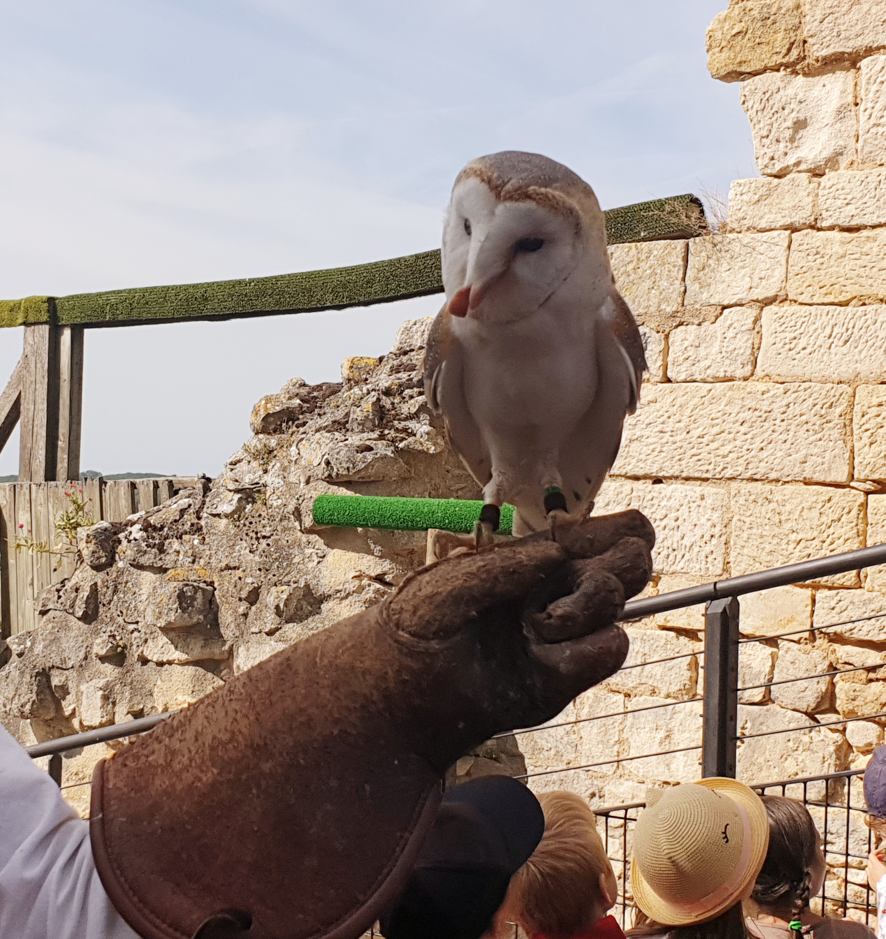 Photo n° 30 de l'avis de Jessika-celia.u fait le 21/08/2019 à 21:49