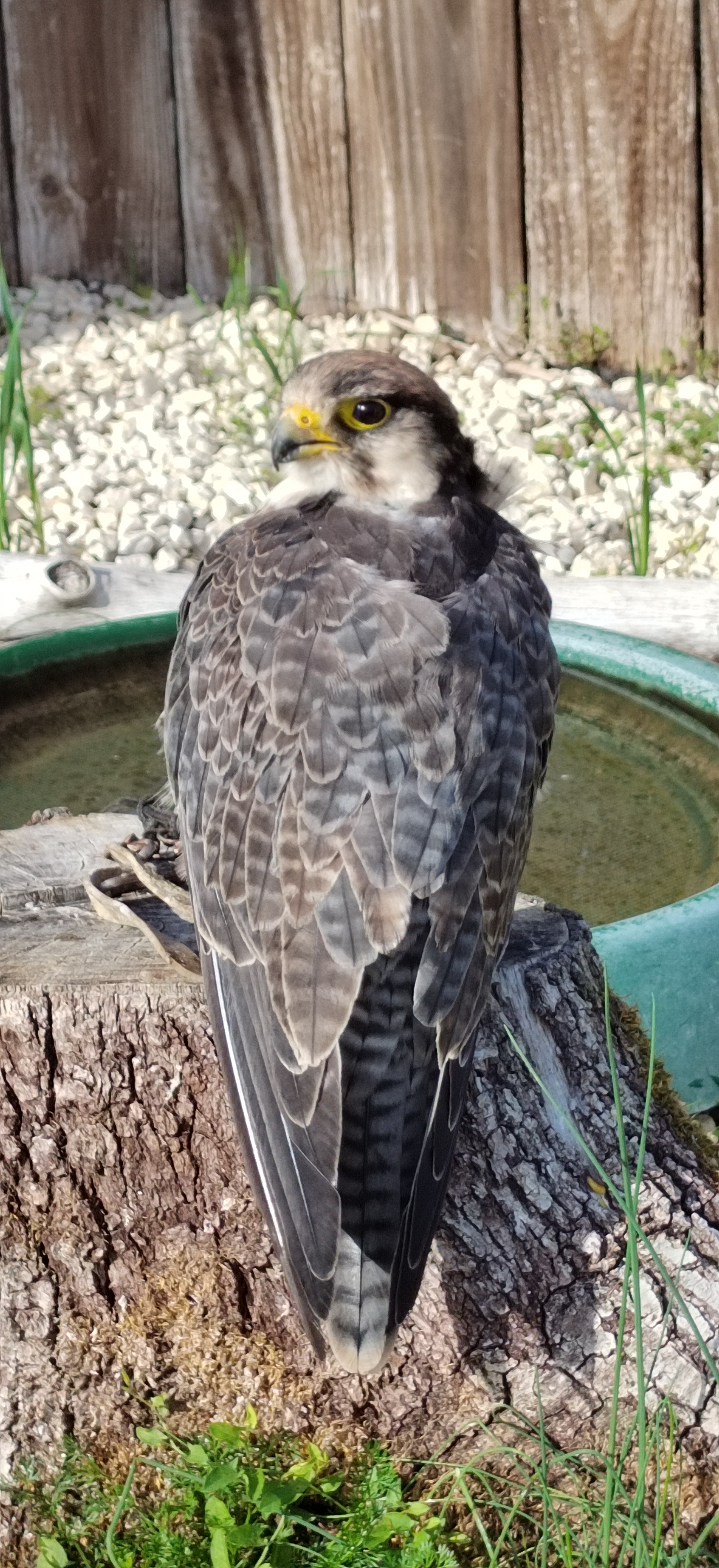 Photo n° 3 de l'avis de flo.g fait le 20/08/2022 à 16:30