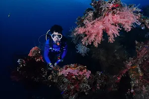 Bali Stingray Divers image