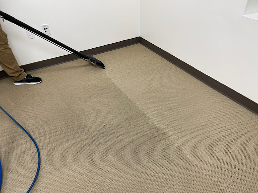 Luna Carpet & Upholstery Cleaning