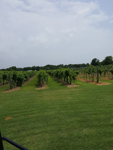 Vineyard «Canadian River Vineyard and Winery LLC», reviews and photos, 7050 Slaughterville Rd, Lexington, OK 73051, USA