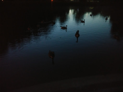 Community Center «Lake City Community Center», reviews and photos, 5471 Jonesboro Rd, Lake City, GA 30260, USA