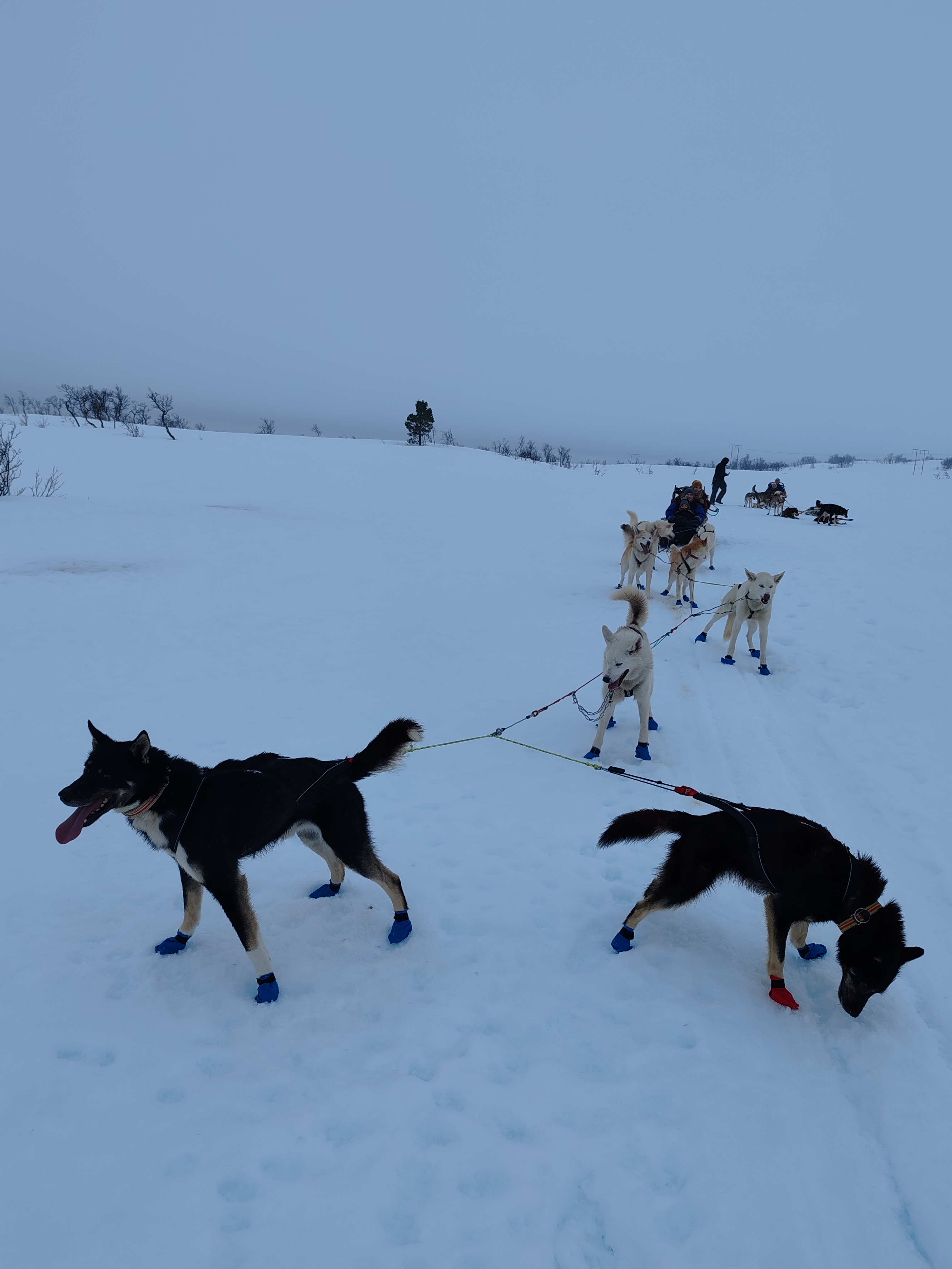 Photo n° 5 de l'avis de chupin.u fait le 21/03/2024 à 19:42