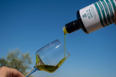 Aceites San Benito - Venta de aceite de oliva virgen extra