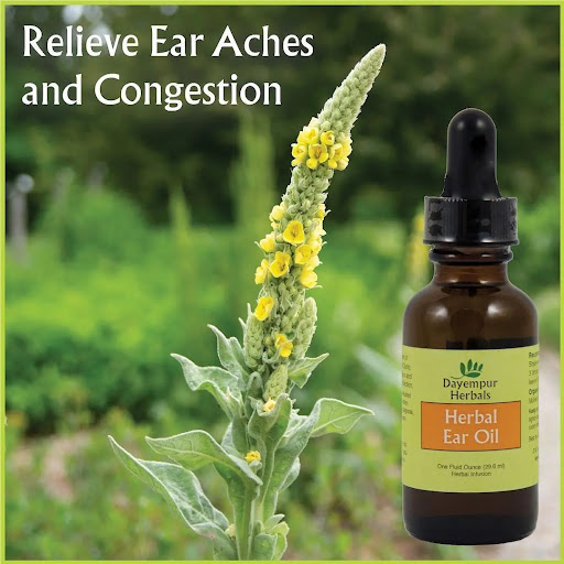 Health Food Store «Peach Blossom», reviews and photos, 1304 Chestnut St # F, Murray, KY 42071, USA