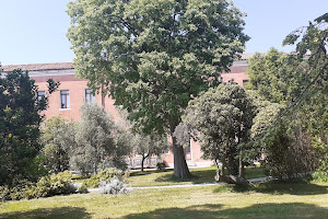 Museo dell'ex Manicomio