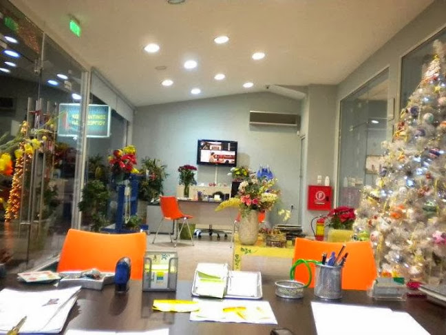 Σχολή Οδηγών Κωνσταντίνος Παπαγεωργίου Ανοιχτές ώρες