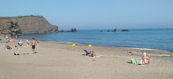 Plage de La Plagette'in fotoğrafı geniş bir kıyı şeridi ile birlikte