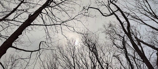 Hiking Area «Black Point Trailhead», reviews and photos, 655 Ocean Rd, Narragansett, RI 02882, USA