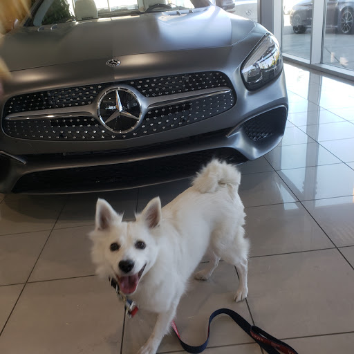 Mercedes-Benz of Palm Springs image