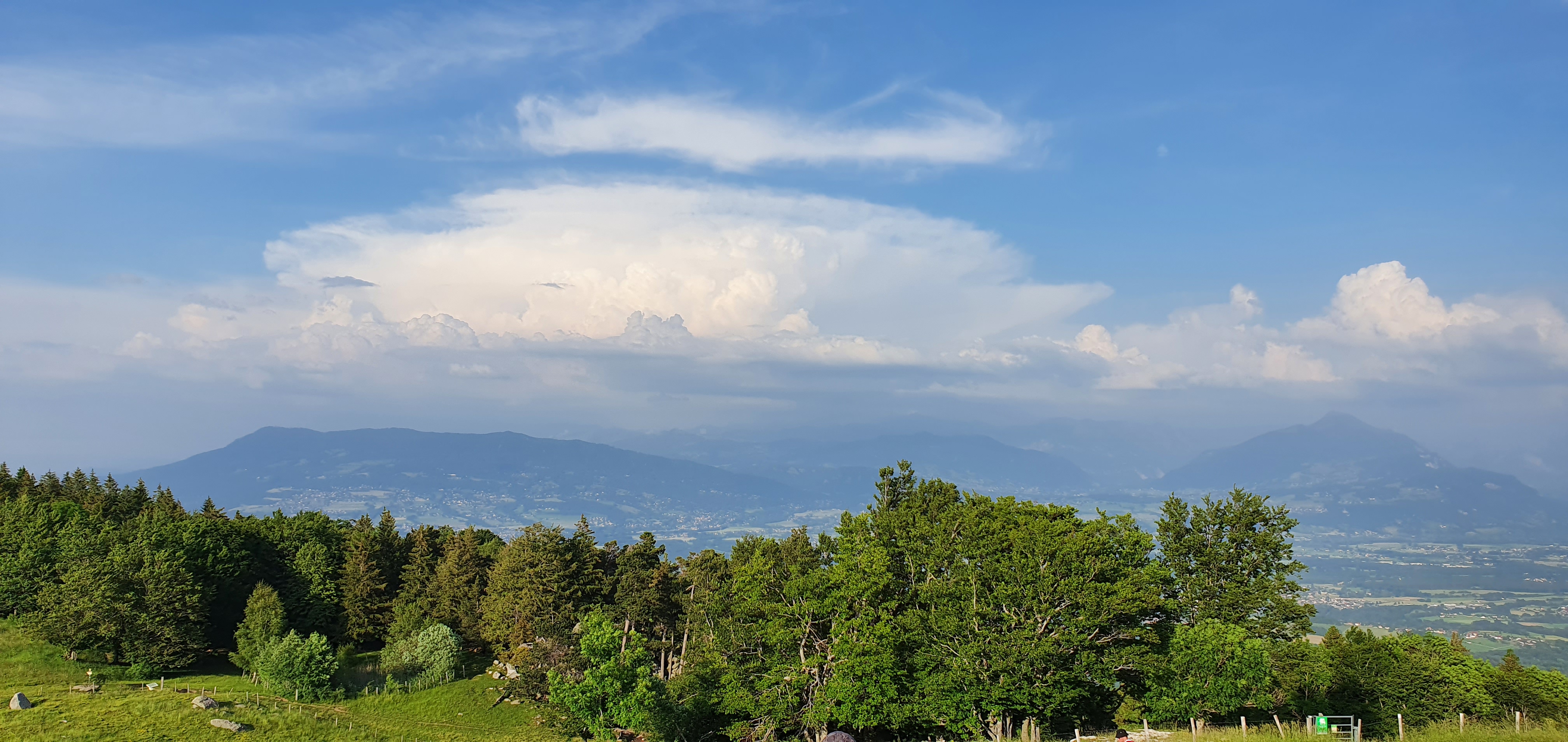 Photo n° 1 de l'avis de Gérald.e fait le 18/06/2021 à 18:18