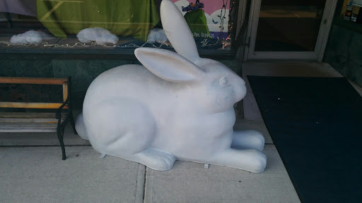 Book Store «Blue Bunny», reviews and photos, 577 High St, Dedham, MA 02026, USA