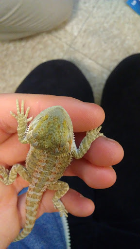 Pet Supply Store «PetSmart», reviews and photos, 208 Mariner Way, Biddeford, ME 04005, USA