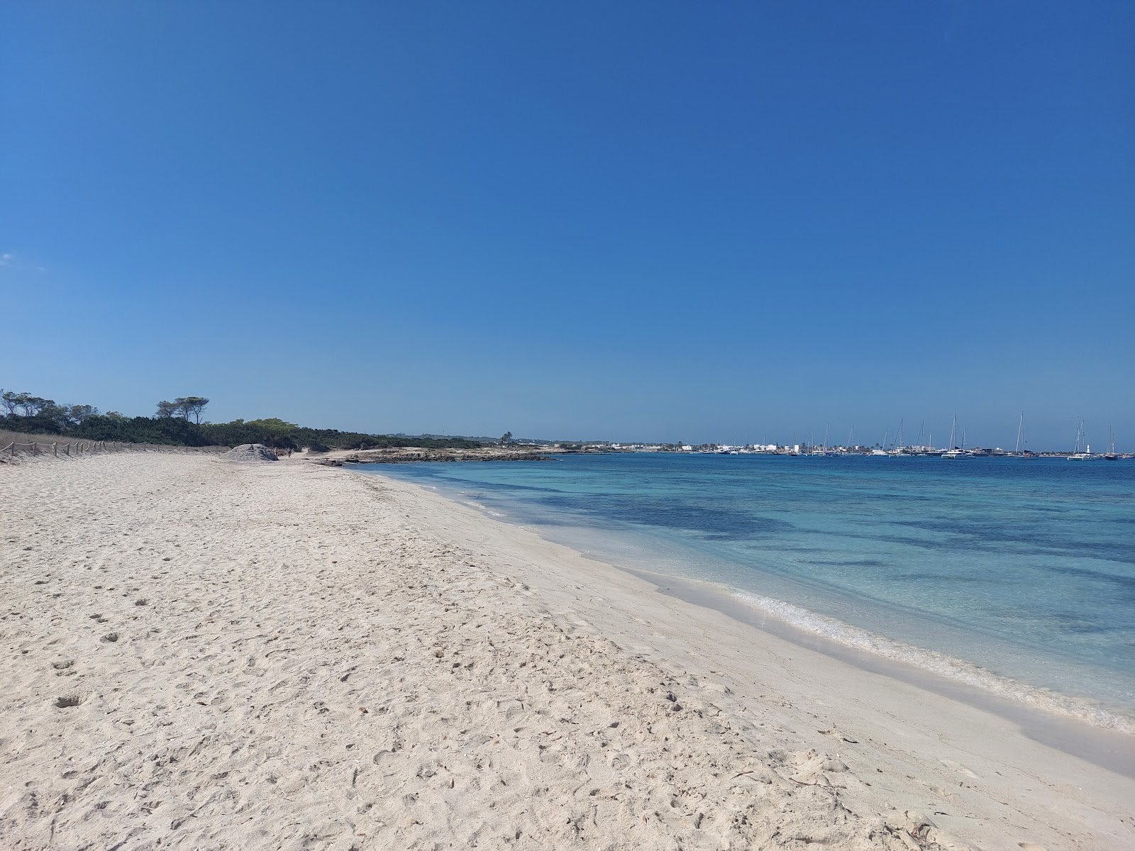 Fotografie cu Playa Es Cavall d'En Borras cu o suprafață de apă pură albastră