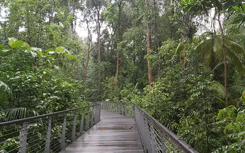 Singapore Botanic Gardens Learning Forest image