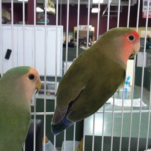 Pet Store «Pet Supermarket, Inc.», reviews and photos, 2446 N University Dr, Coral Springs, FL 33065, USA