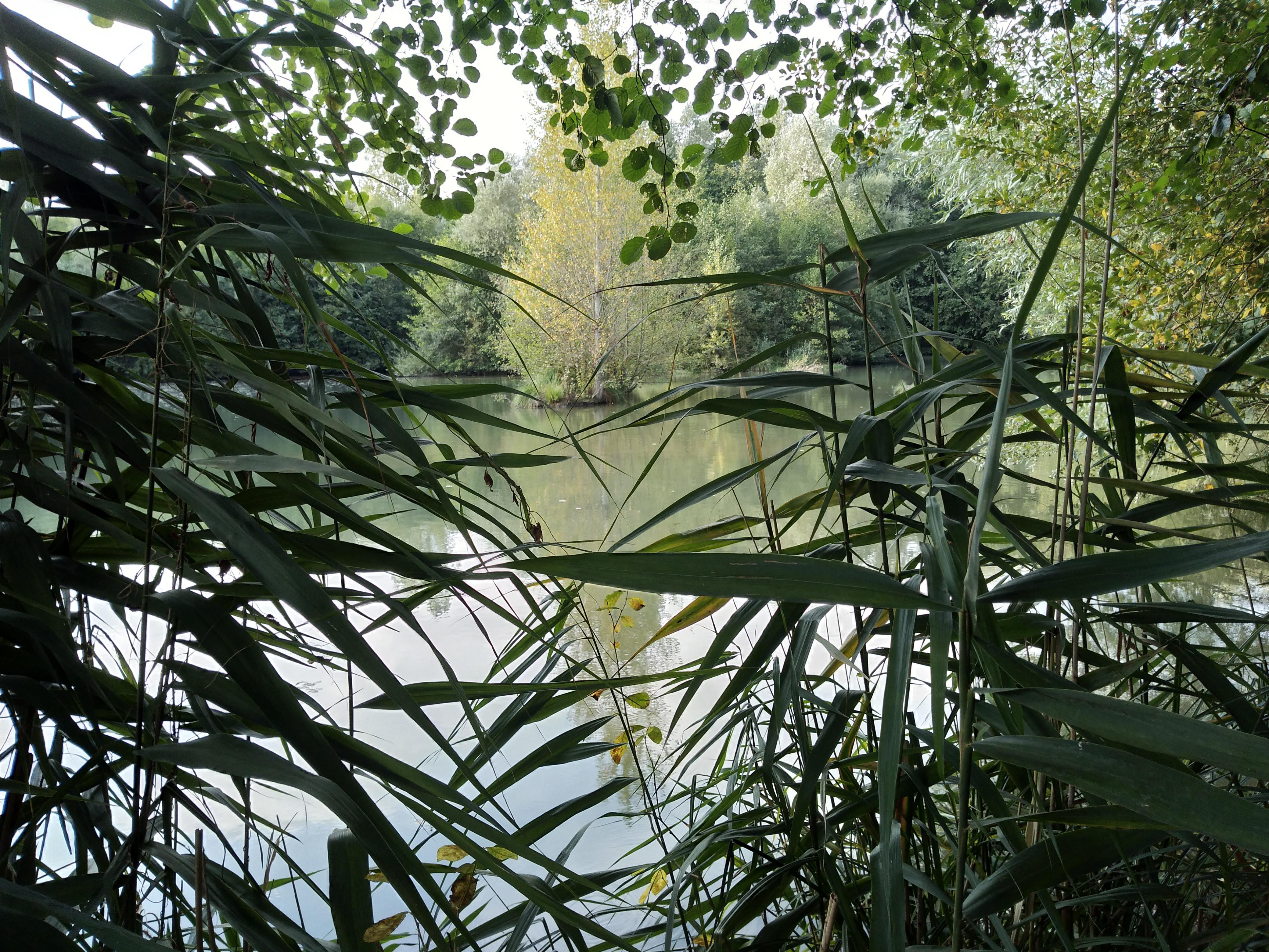 Photo n° 1 de l'avis de Laura.a fait le 12/10/2019 à 20:51