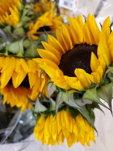 Grocery Store «D & W Fresh Market», reviews and photos, 2103 Parkview Ave, Kalamazoo, MI 49008, USA