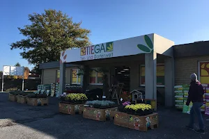 TIEGA GmbH - Tier- und Gartenwelt image