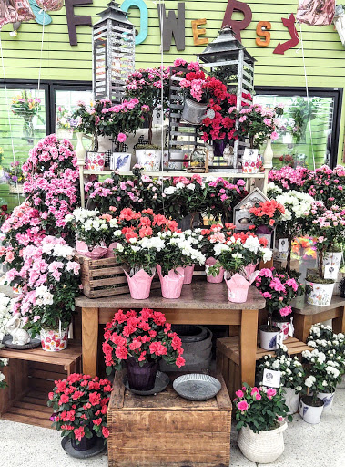 Supermarket «Hy-Vee», reviews and photos, 2453 N Court St, Ottumwa, IA 52501, USA