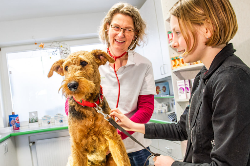 Tierarztpraxis Brand unter Holdorf, 