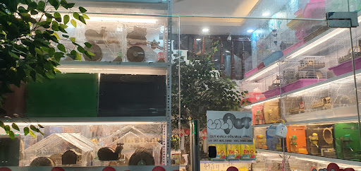 Top 1 cửa hàng lolipet Huyện Trấn Yên Yên Bái 2022