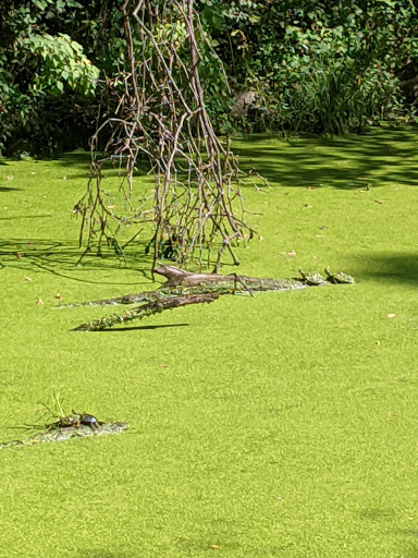 National Park «Great Falls Park, Virginia», reviews and photos, 9200 Old Dominion Dr, McLean, VA 22102, USA