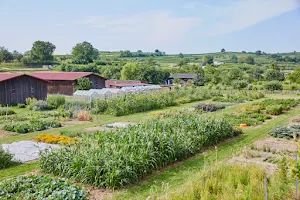 Samengarten Eichstetten am Kaiserstuhl image