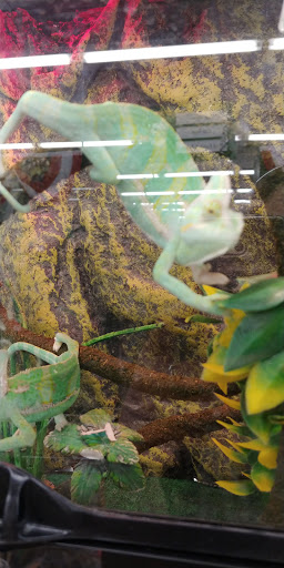 Pet Supply Store «Pet Supplies Plus», reviews and photos, 175 Memorial Ave, West Springfield, MA 01089, USA