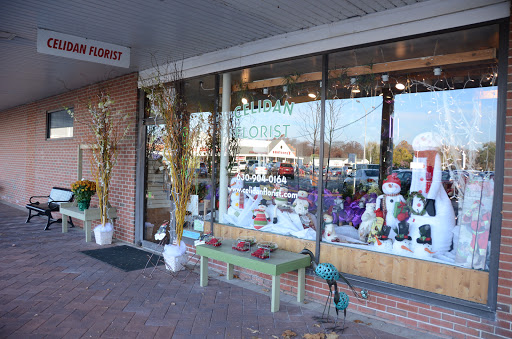 Celidan Creations, Inc., 152 W Gartner Rd #112, Naperville, IL 60540, USA, 