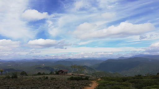 Gia Nguyễn Tour