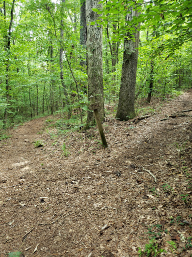 Arboretum «The University of Alabama Arboretum», reviews and photos, 4801 Arboretum Way, Tuscaloosa, AL 35404, USA