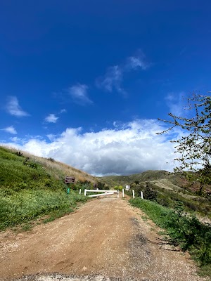Cameron Nature Preserve at Puerco Canyon - photo 7