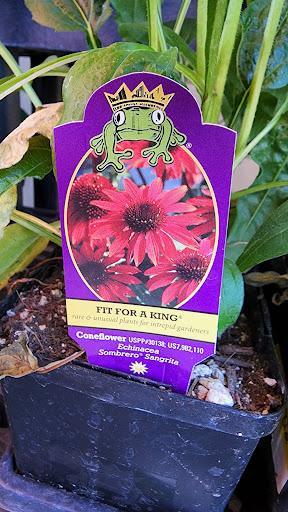 Hardware Store «Newberg Hardware», reviews and photos, 2100 Portland Rd, Newberg, OR 97132, USA