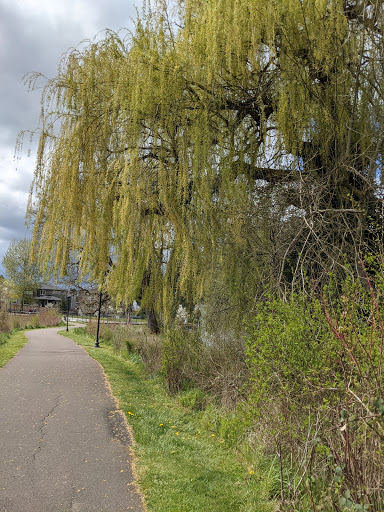 Park «Evelyn M. Schiffler Memorial Park», reviews and photos, SW Erickson Ave, Beaverton, OR 97005, USA