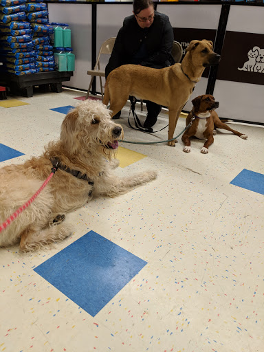 Pet Supply Store «Petco Animal Supplies», reviews and photos, 438 Southbridge St, Auburn, MA 01501, USA