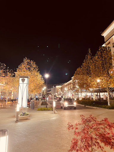 Shopping Mall «Avalon», reviews and photos, 2200 1st St, Alpharetta, GA 30009, USA