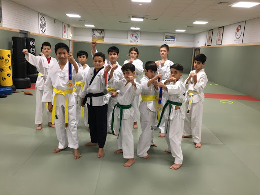 Taekwondo classes in London