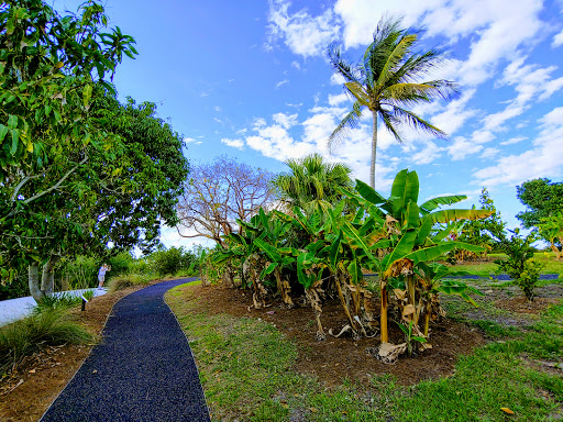 Museum «Mound House», reviews and photos, 451 Connecticut St, Fort Myers Beach, FL 33931, USA