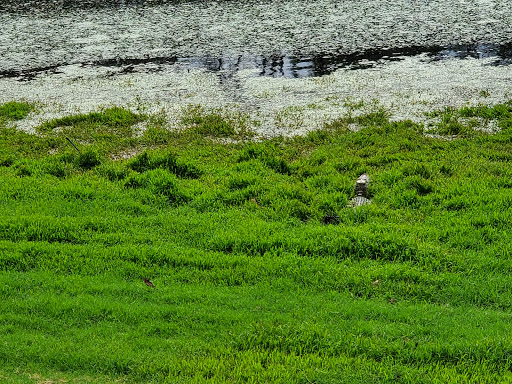 Golf Club «Oak Island Golf Club», reviews and photos, 928 Caswell Beach Rd, Oak Island, NC 28465, USA