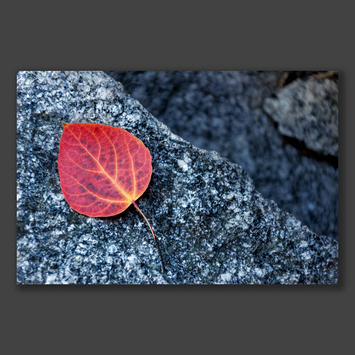 Emanate Gallery Art & Framing image
