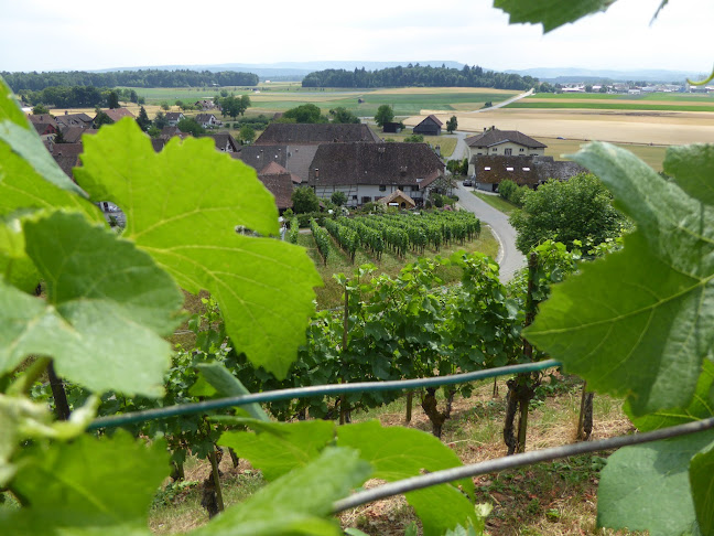 BnB zum Hofmeister - Hotel