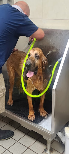 Pet Supply Store «Pet Supplies Plus», reviews and photos, 7467 St Andrews Rd, Irmo, SC 29063, USA