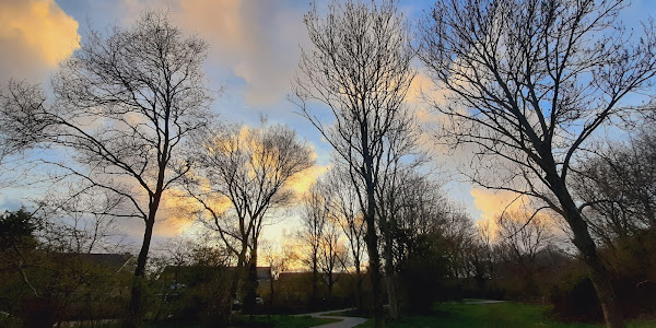 Parkgebouw Park de Oude Kwekerij