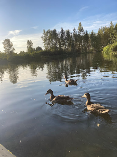 Park «Alton Baker Park», reviews and photos, 100 Day Island Rd, Eugene, OR 97401, USA