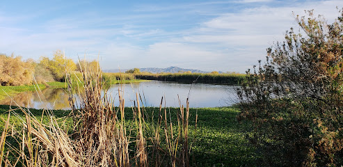 Tres Rios Flow Regulating Wetlands