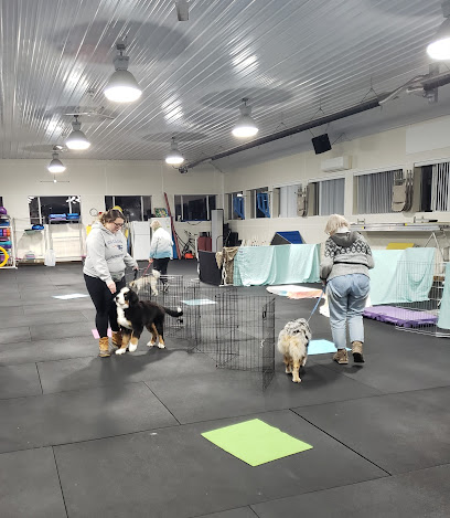 It's PAWSible! Dog Training Center